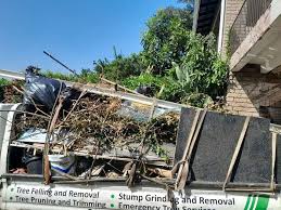 Best Yard Waste Removal  in Darien, IL